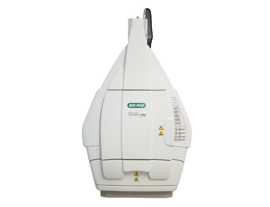 化学发光成像系统